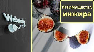 инжир слабит|инжира полезные для здоровья.